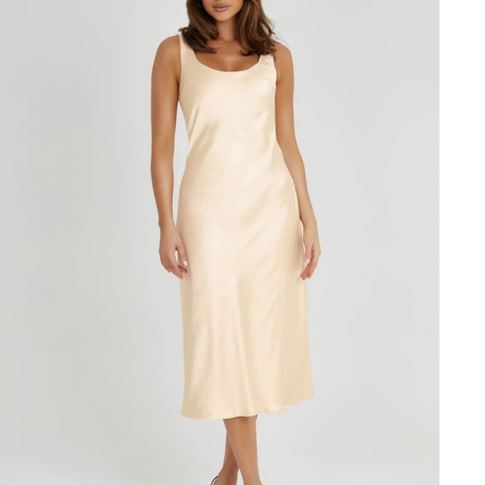 NWT Meshki Dress
